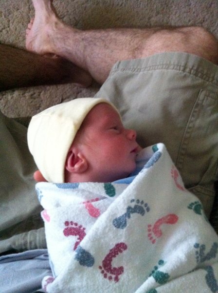 swaddled in daddy's lap