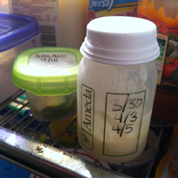 The final partial bottle of pumped milk in the fridge
