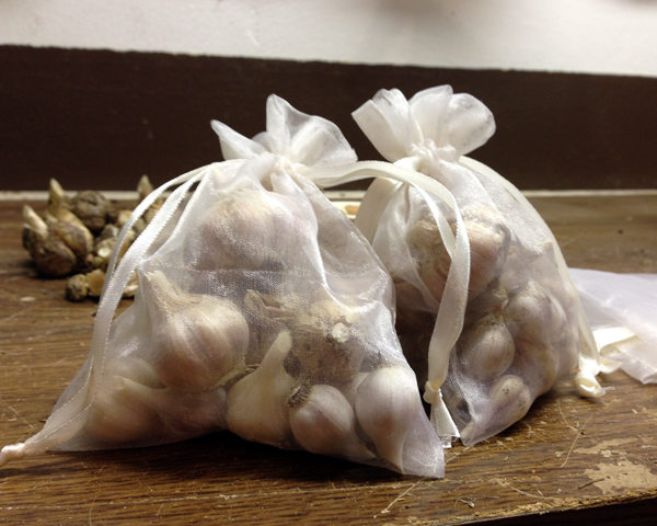 Bags of garlic for co-workers