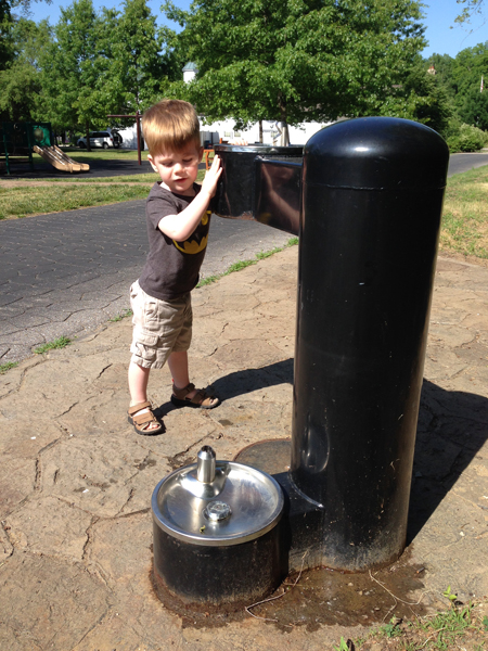 Playing with the doggie water fountain