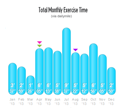 Total Monthly Exercise Time 2013