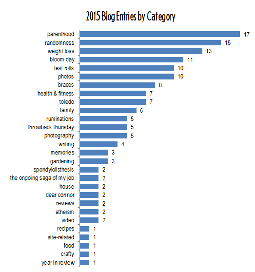 2015 blog entries by category