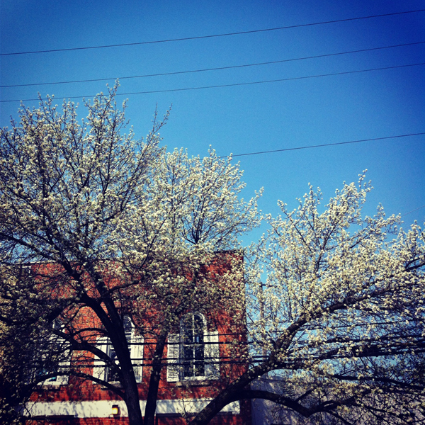 Early Spring on Detroit Street, Ann Arbor