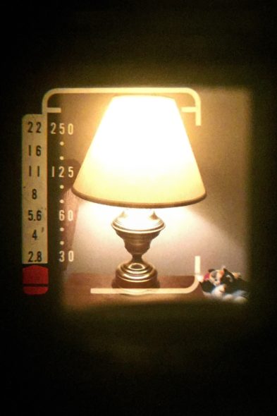 Through the viewfinder