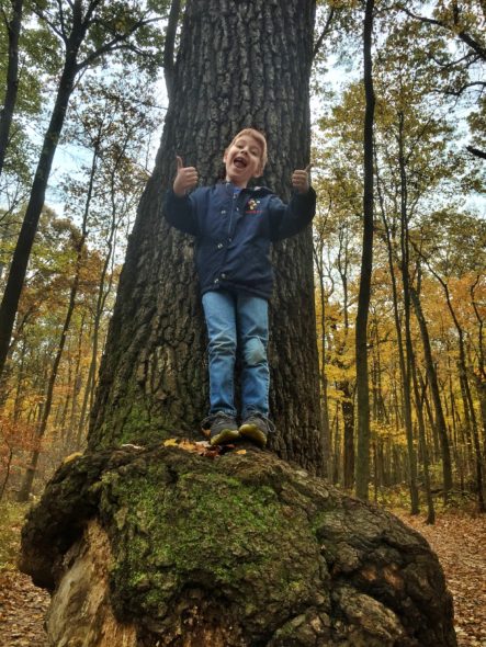 Tree climber